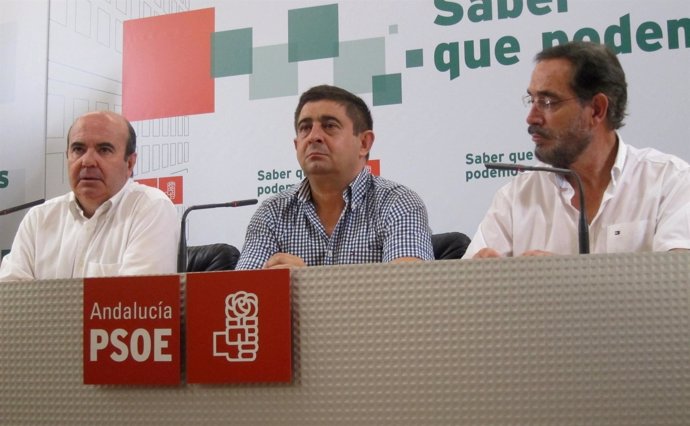 Zarrías en rueda de prensa