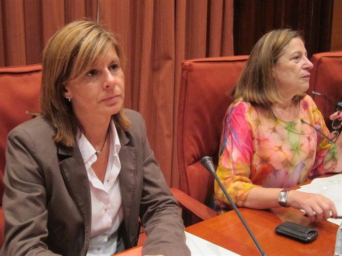 Comisión de Bienestar Social en el Parlament