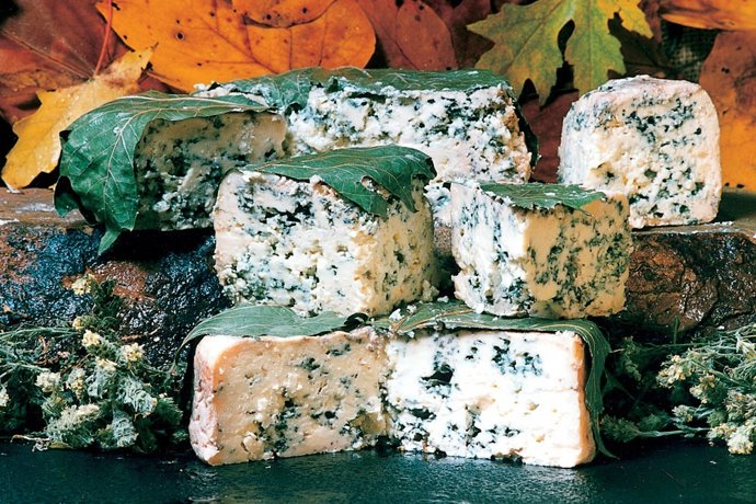 Queso Bejes-Tresviso, Picón