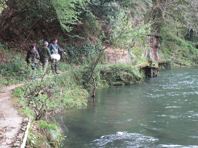 Voluntarios del Proyecto Ríos en un tramo del Asón a su paso por Gibaja