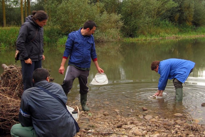 Voluntarios en el Río Ebro