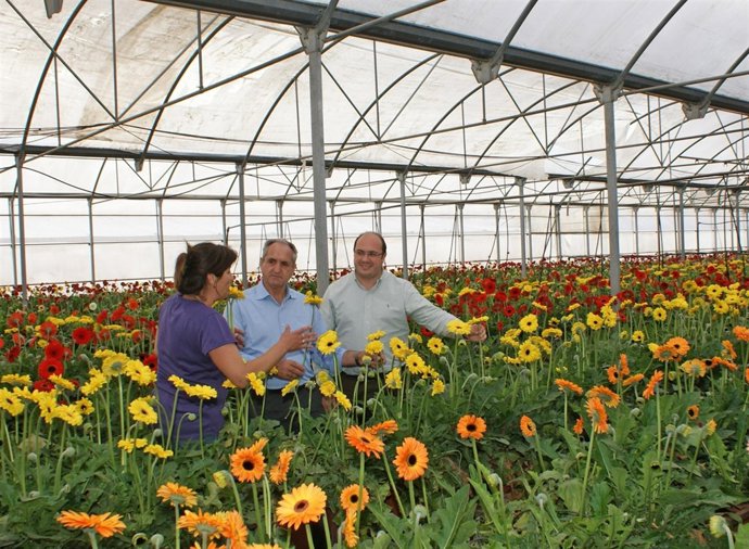 Pedro Antonio Sánchez