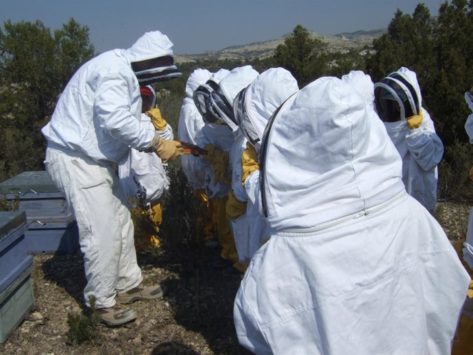 Sesión sobre apicultura en el centro de Monegrillo (Zaragoza)
