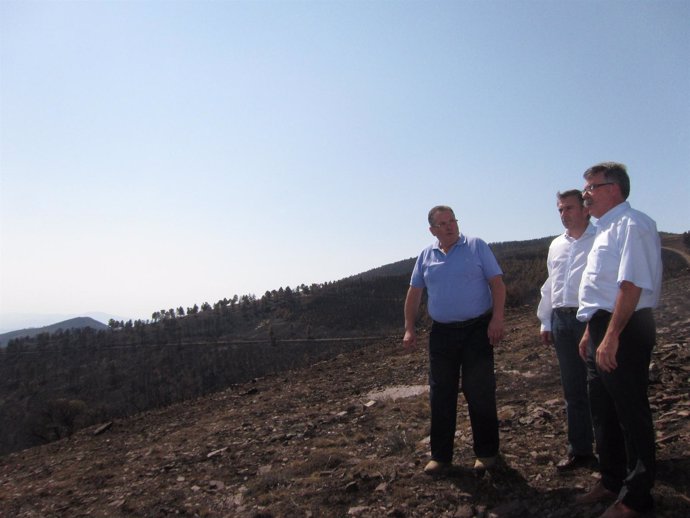 Luis María Beamonte (DPZ) visita la zona afectada por el incendio del Moncayo.