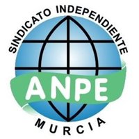 ANPE Murcia dice que el curso escolar comienza con un 4% de plazas de profesores no asignadas