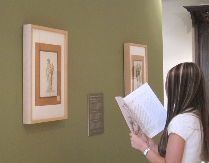 Una Joven Observa Los Dibujos De Palominio En El Museo San Pío V