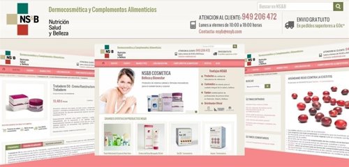 Imagen de la web Nsyb.Com