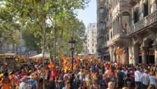 Manifestación De La Diada 