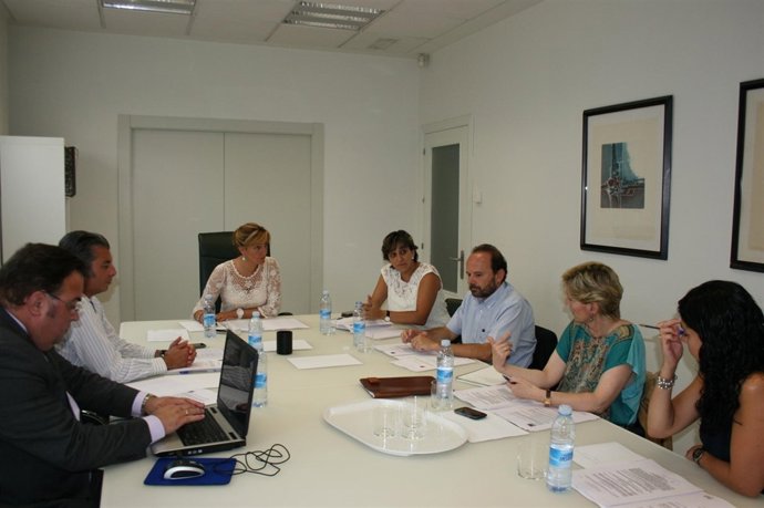 Consejo De Administración De Vipasa