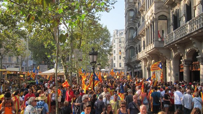 Manifestación De La Diada 