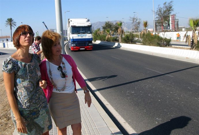 PSOE en el Ayuntamiento de Málaga critica el mantenimiento de arboles