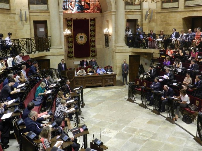 Pleno de Juntas en Gernika