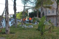 Ayuntamiento limpiará los espacios ajardinados afectados por las obras del metro ante "la pasividad" de la Junta