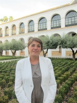 La consejera de Fomento y Vivienda, Elena Cortés