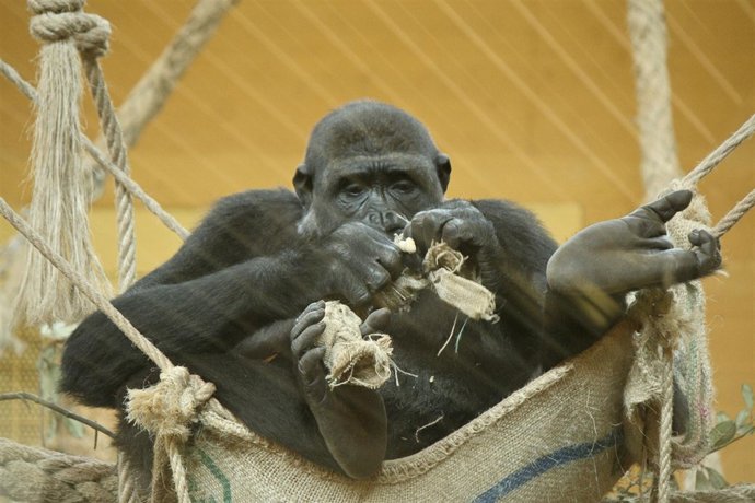 Moja será madre en marzo