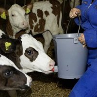 El Principado intentará agilizar el pago de ayudas a los ganaderos para desbloquear su "angustiosa" situación