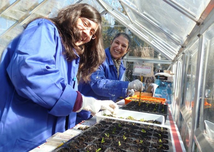 Detalle talleres de trabajo jardinería