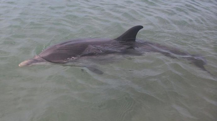 Marcos Nada En La Playa De Almerimar