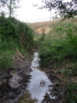 Vertido De Purines En Vilademuls (Girona)
