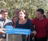 PP-A dice que "hay señores, como los de IU, que se bajan del coche oficial para ponerse detrás de las pancarta"