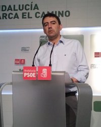 PSOE-A apoya la manifestación y espera que sea un punto de inflexión contra la política "regresiva" del Gobierno
