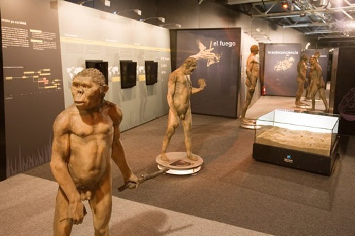 Exposición Sobre Evolución Humana De La Caixa