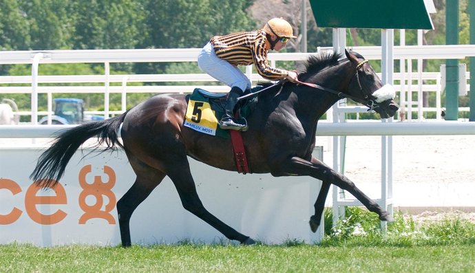 Karluv Most Gana En La Zarzuela, Turf