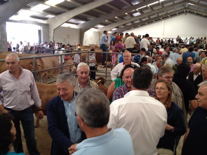 José Blanco visita el centarmen de ganado de Pedrafita