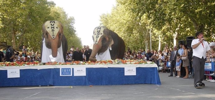 Los elefantes del Gran Circo Mundial durante una merienda del año pasado