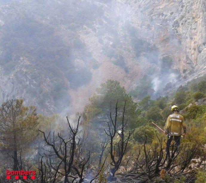 Incendio De Alfara De Carles