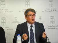 El grupo parlamentario popular "forma una piña" en torno a la candidatura de Mercedes Fernández, según Román