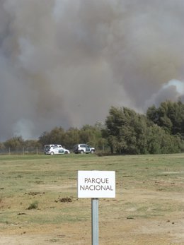 Incendio en el Parque Nacional de Doñana