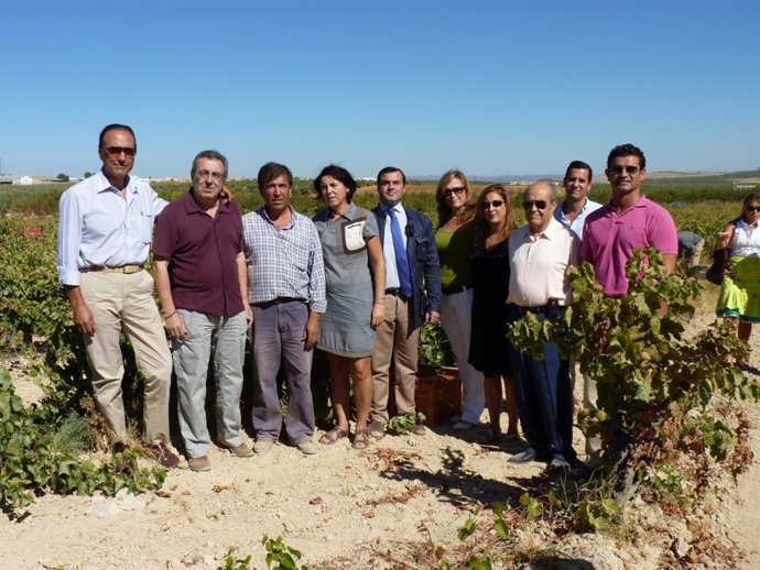 Visita a los viñedos.