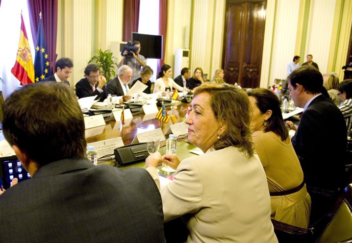 Soriano asiste a la reuniónm del Consejo Consultivo