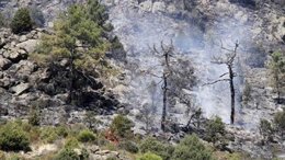 Una imagen del incendio