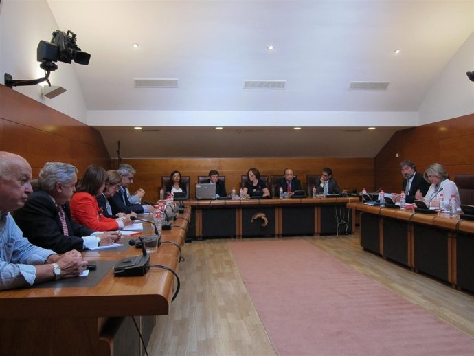 Comparecencia del director general de Montes