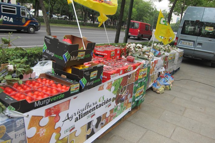 COAG BANCO DE ALIMENTOS