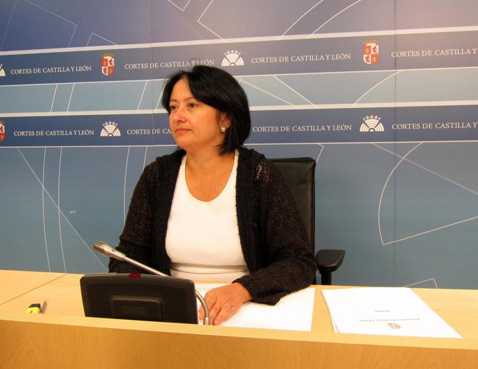 La Procuradora Socialista Ángela Marqués En Una Rueda De Prensa