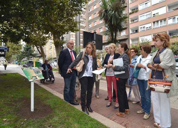 Comienza el plan de identificación del arbolado