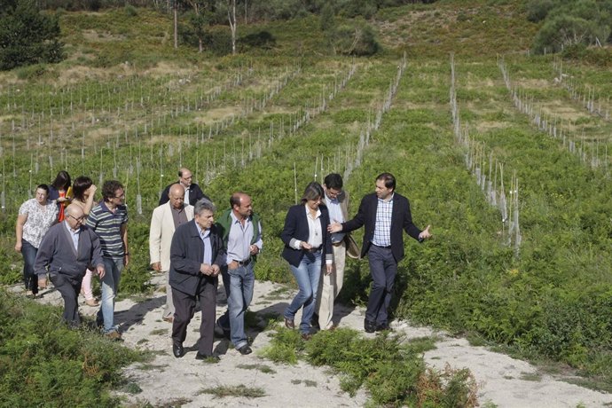 FOTOS: ROSA QUINTANA DESTACA O PAPEL DOS CULTIVOS E PRODUCIÓNS FORESTAIS INNOVAD