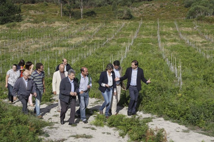 FOTOS: ROSA QUINTANA DESTACA O PAPEL DOS CULTIVOS E PRODUCIÓNS FORESTAIS INNOVAD
