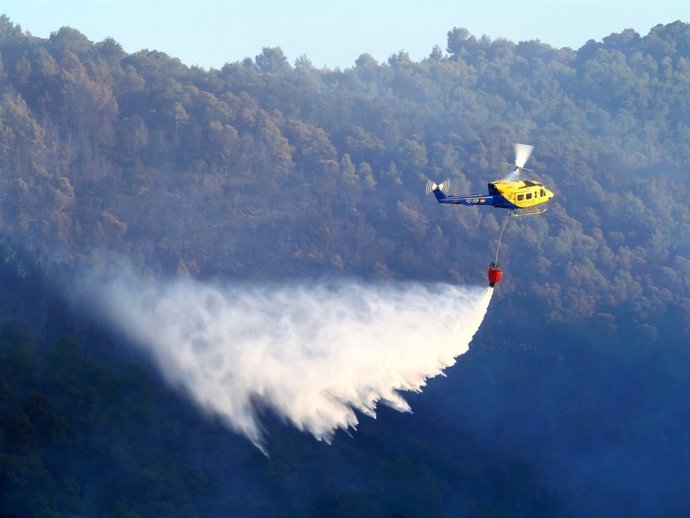 Un incendio forestal