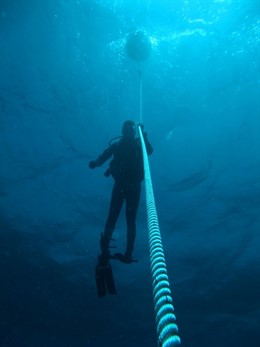 Un Buzo Coloca Una Boya