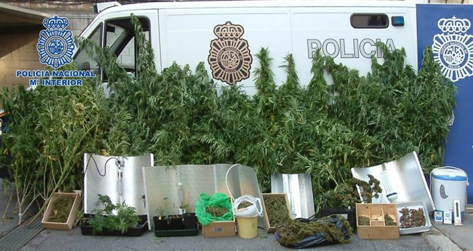 Material Intervenido En Reus