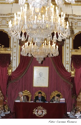 Salón De Plenos De Diputación