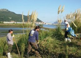 Voluntarios limpiando