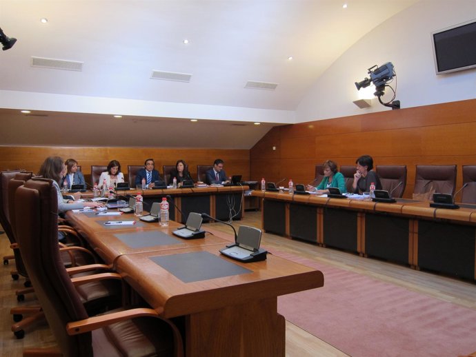 Buruaga en su comparecencia parlamentaria