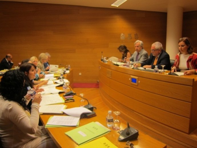 Comisión De Coordinación, Organización Y Régimen De Las Instituciones 