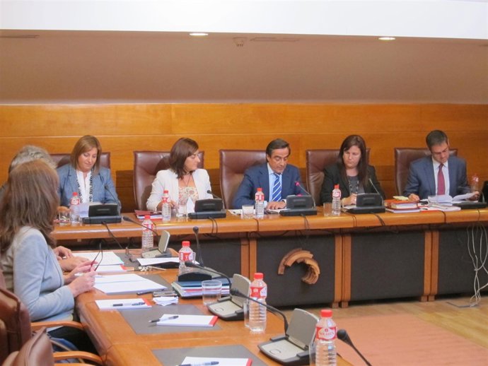 Buruaga en su comparecencia