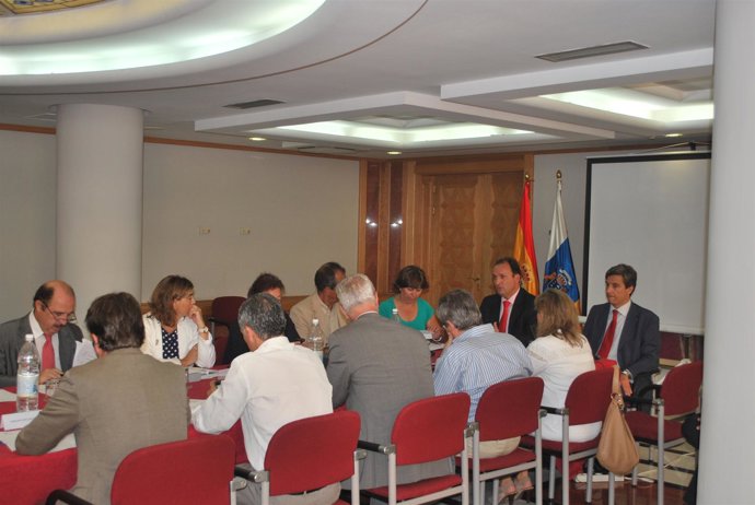 Reunión del Consejo Canario de Turismo